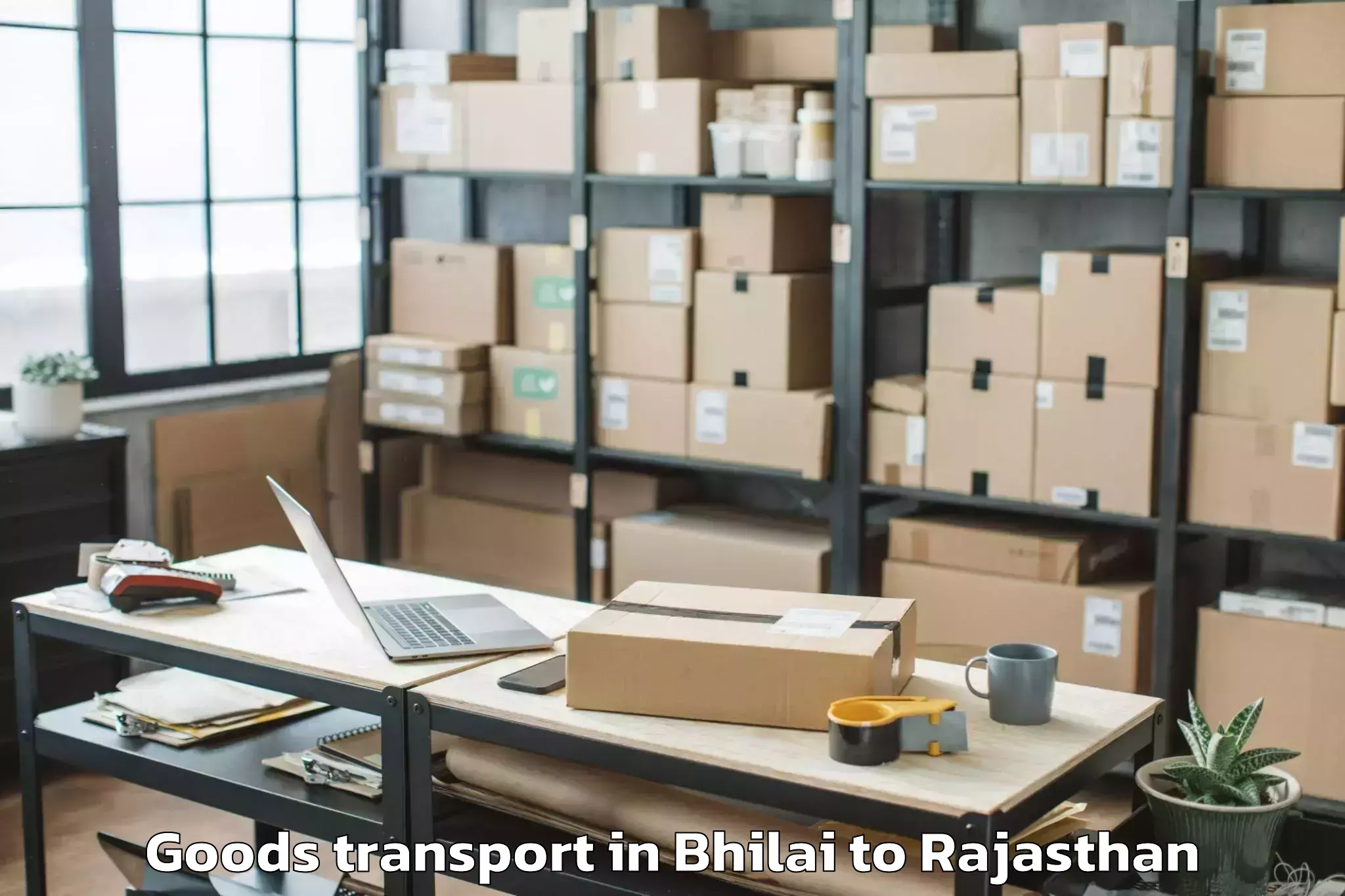 Quality Bhilai to Poornima University Jaipur Goods Transport